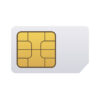 Global Sim Card